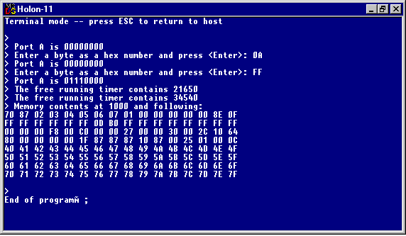 The Holon terminal mode (8077 Byte)